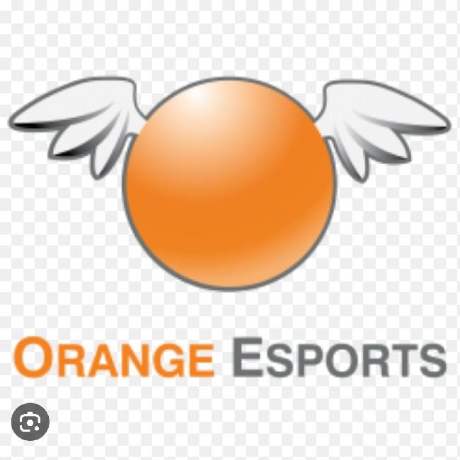 ORANGE电子竞技俱乐部