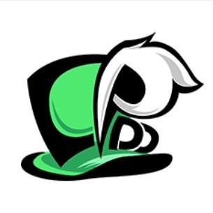 CPDD电子竞技俱乐部