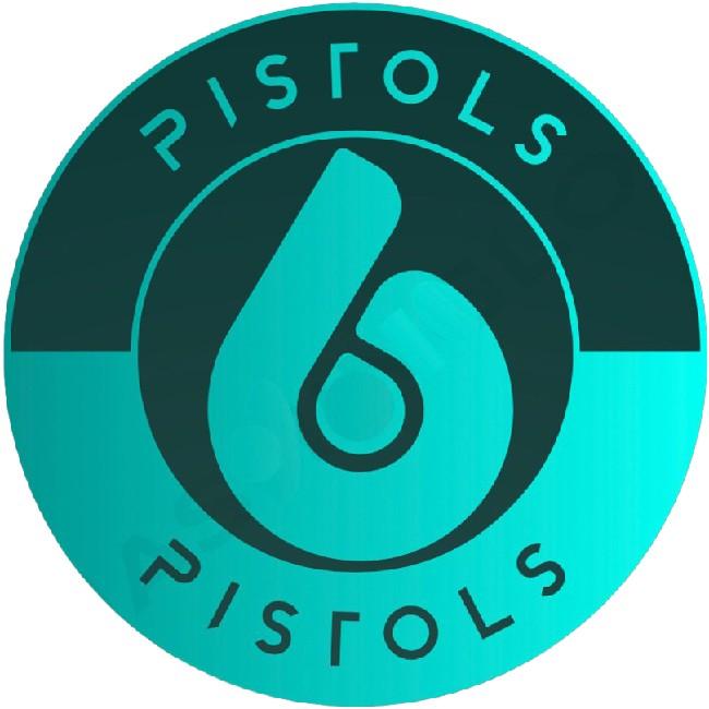 SIX PISTOLS
