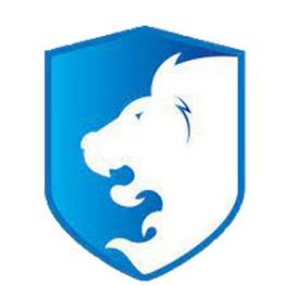 ABC YOUNG LIONS