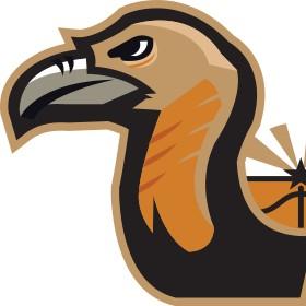 Phoenix Vultures