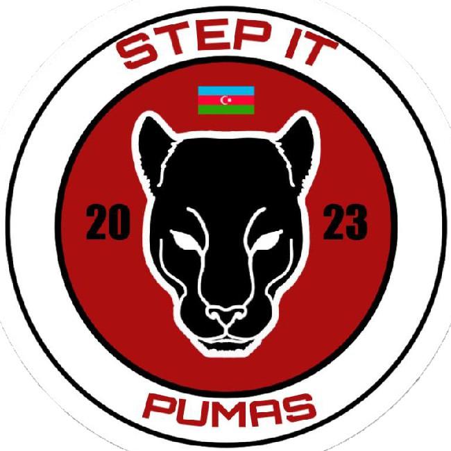 STEP IT PUMAS