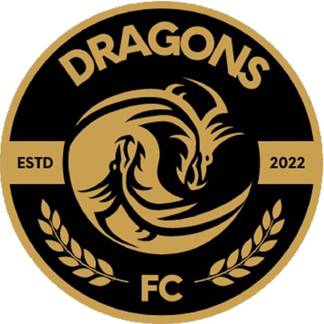 BMS DRAGONS