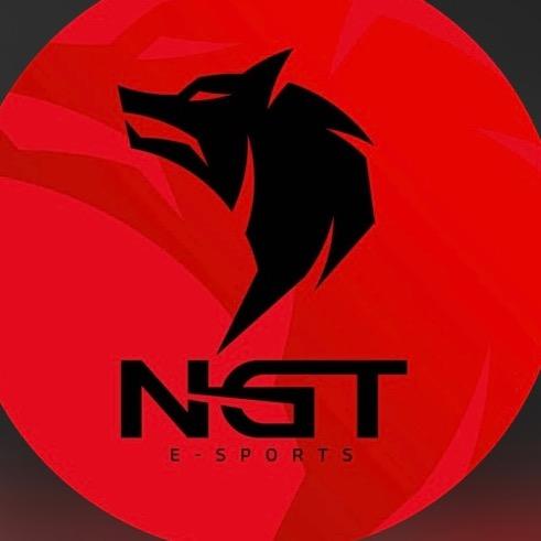 NGT E-SPORTS