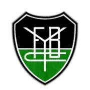 Yankee Foot-ball Club