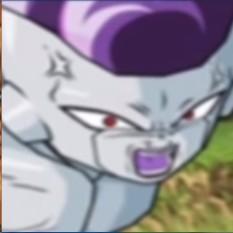 Freezer 100%