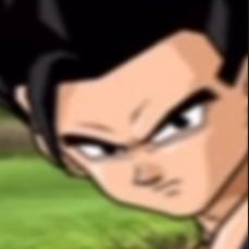 Gohan definitivo