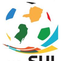 Copa Sul Minas