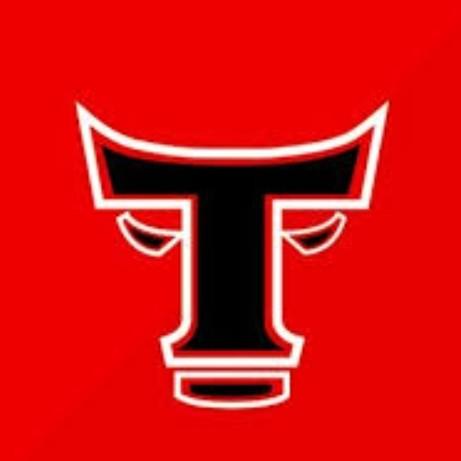 Toros De Guárico
