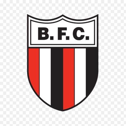 BOTAFOGO-SP