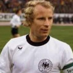 Vogts