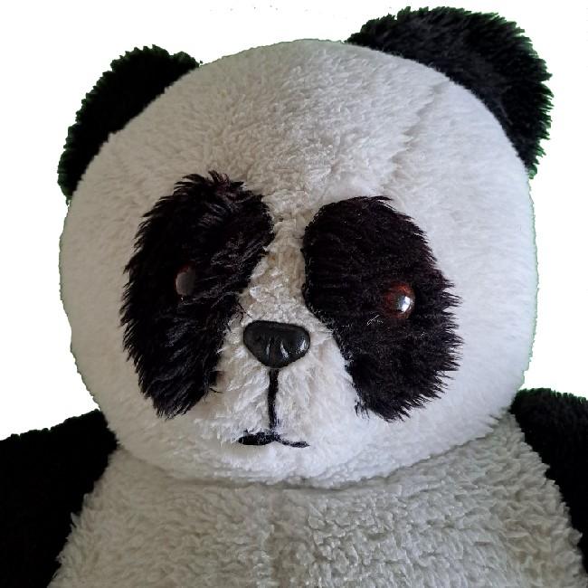 DF Panda (85)