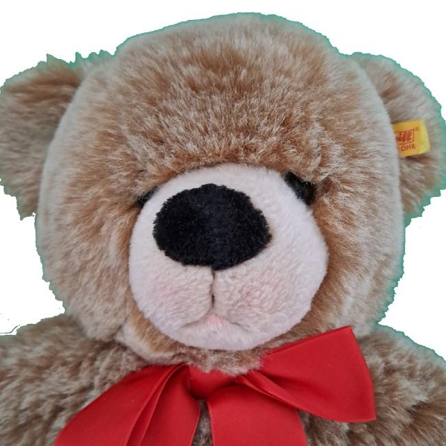 FW Brown Bear (78)