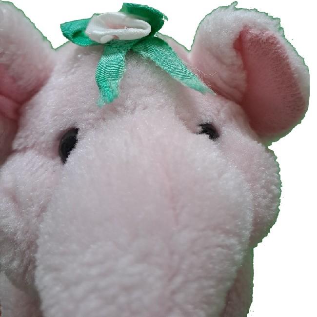 FW P.Elephant (82)