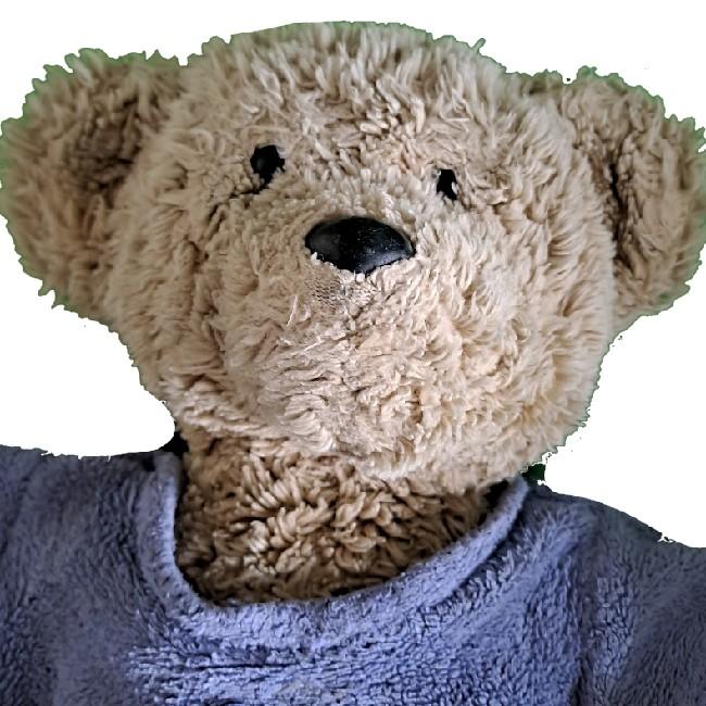FW Bear Bearson (C) (91)