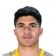 N. Ibáñez