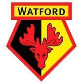 Watford Fc
