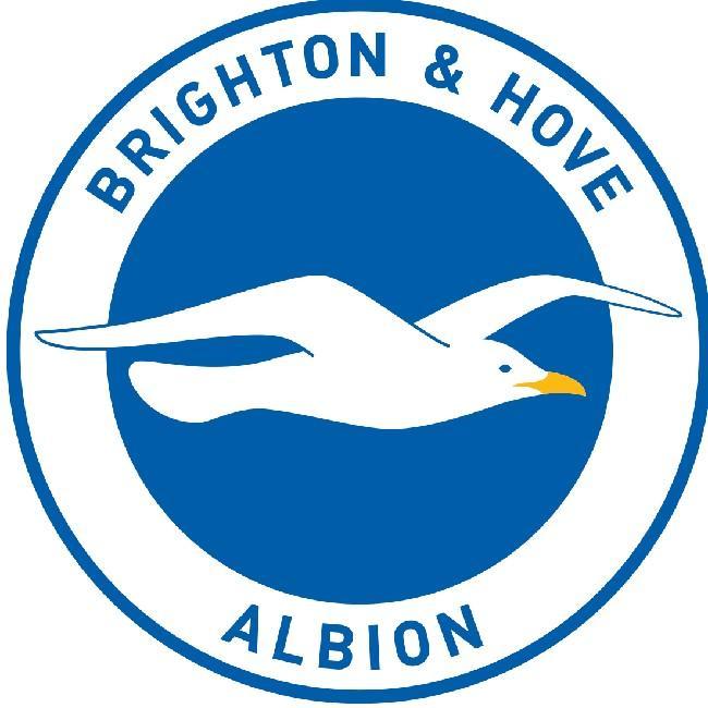 Brighton & Hove Albion Fc