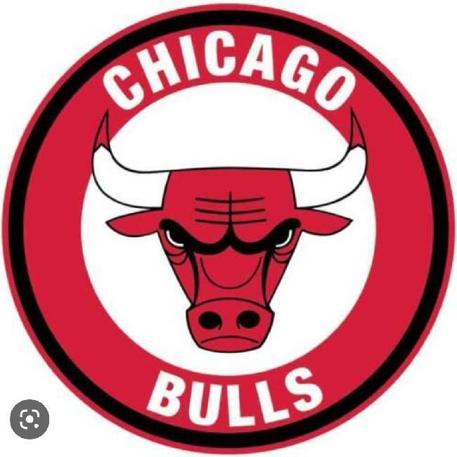 Chicago Bulls