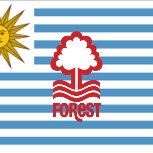 Forest (Uruguay)