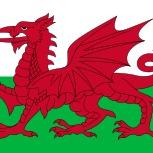 Gwion Dafydd