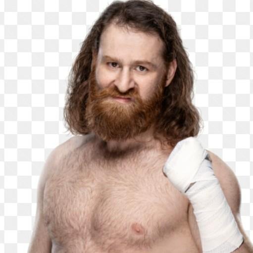 Sami Zayn