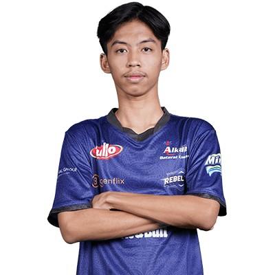Dyrennn
