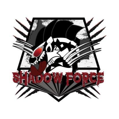 Shadow Force