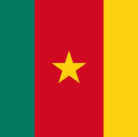 André-Frank Zambo Anguissa