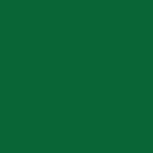 PALMEIRAS MMXXIII