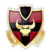 VALSAD FC
