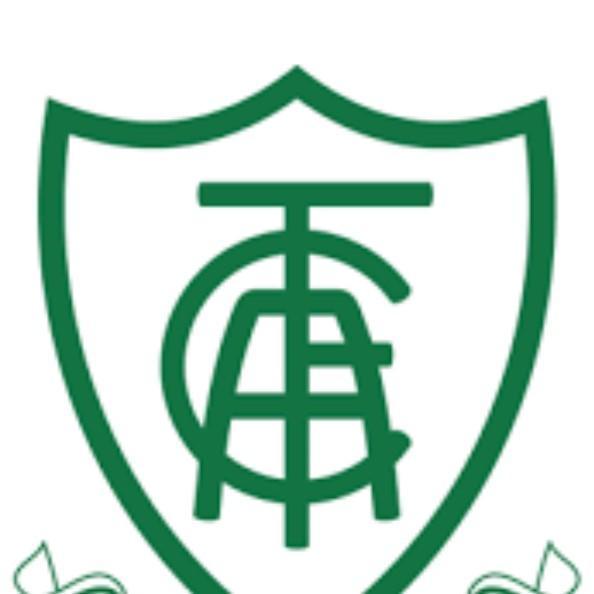 América mineiro