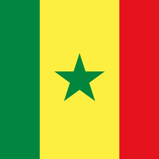 Bouna Sarr