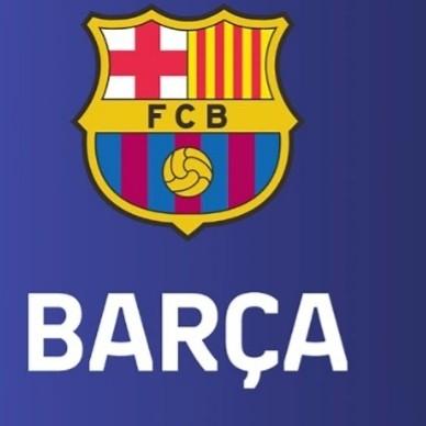 Barsa basket