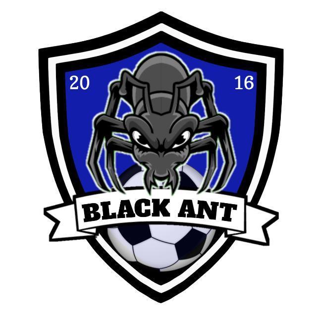Black Ant TEFC
