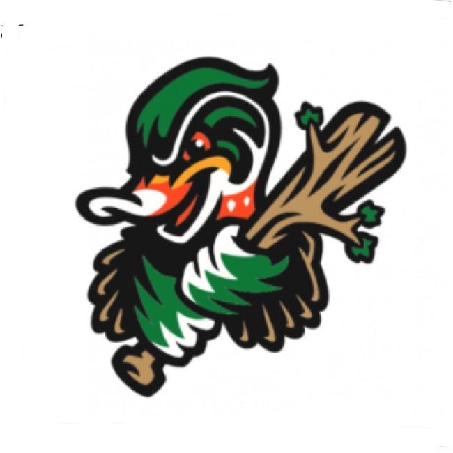 Denver Ducks