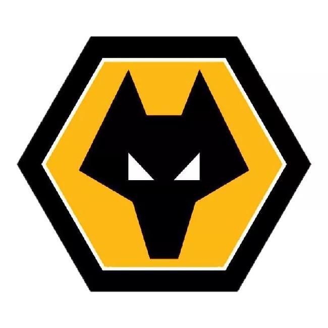 Wolves Wolverhampton Wanderers