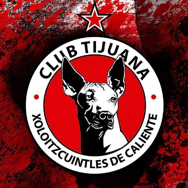 Xoloitzcuintles De Tijuana