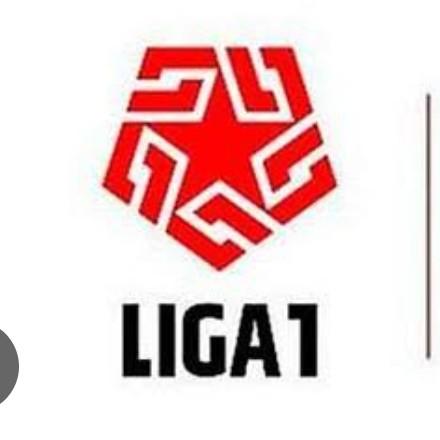 LIGA 1 PERÚ