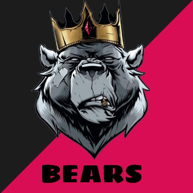 Bears