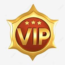 COPA VIPS