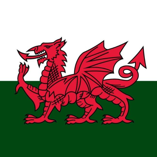 Wales 🏴󠁧󠁢󠁷󠁬󠁳󠁿