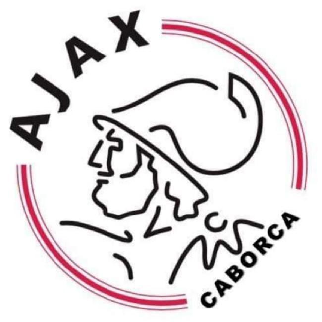 AJAX 2009