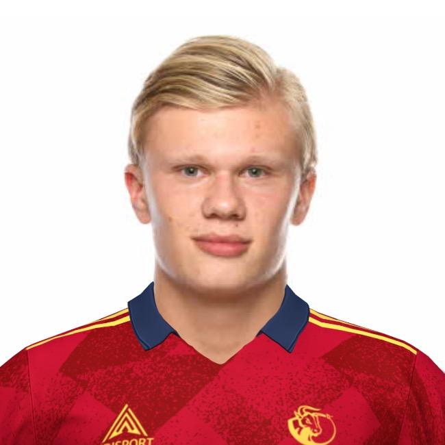 Эрлинг Йохансен