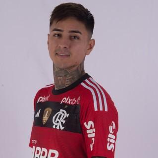 Erick Pulgar
