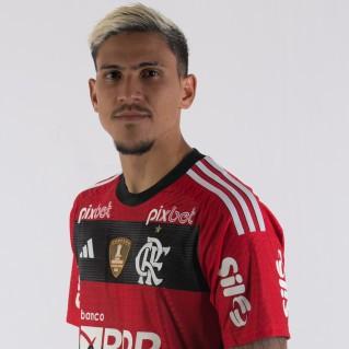 Pedro