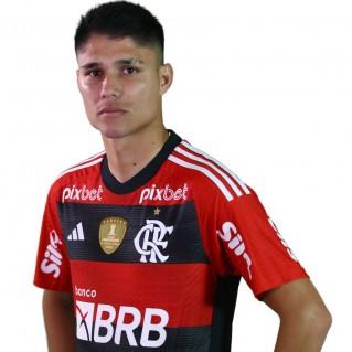 Luiz Araújo