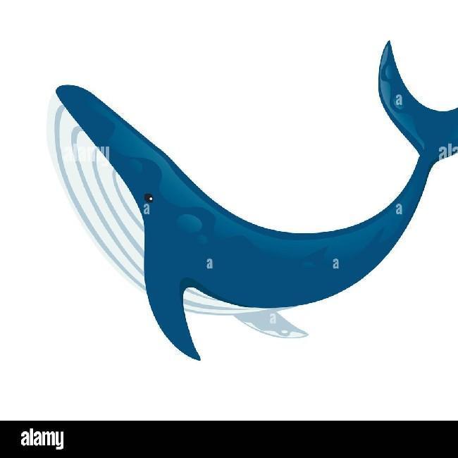 (R) Big Blue Whales