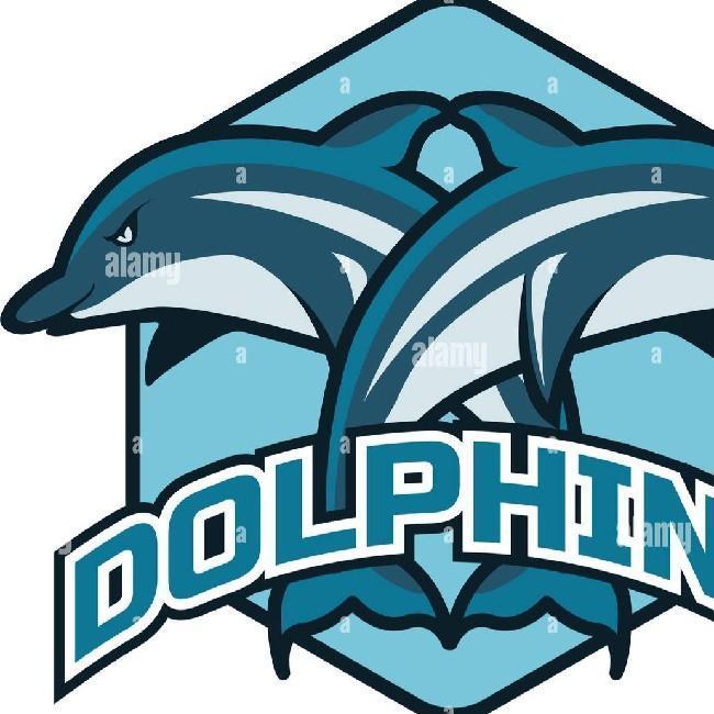 (R) Dolphins
