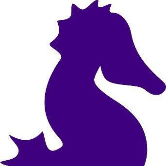 (R) Purple Seahorses
